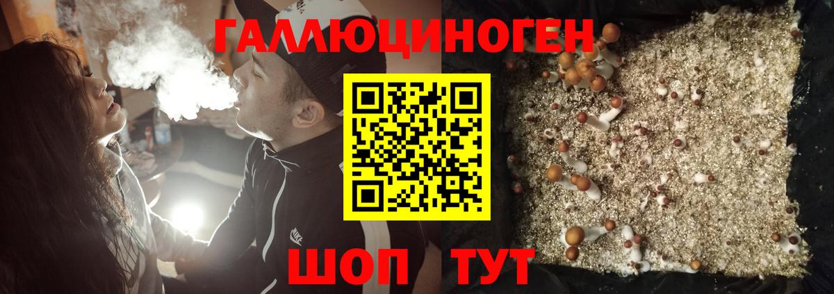 Галлюциногенные грибы Magic Shrooms Ярославль